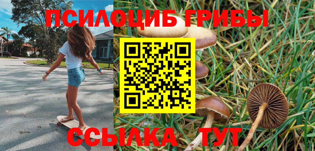 Псилоцибиновые грибы мицелий Алатырь